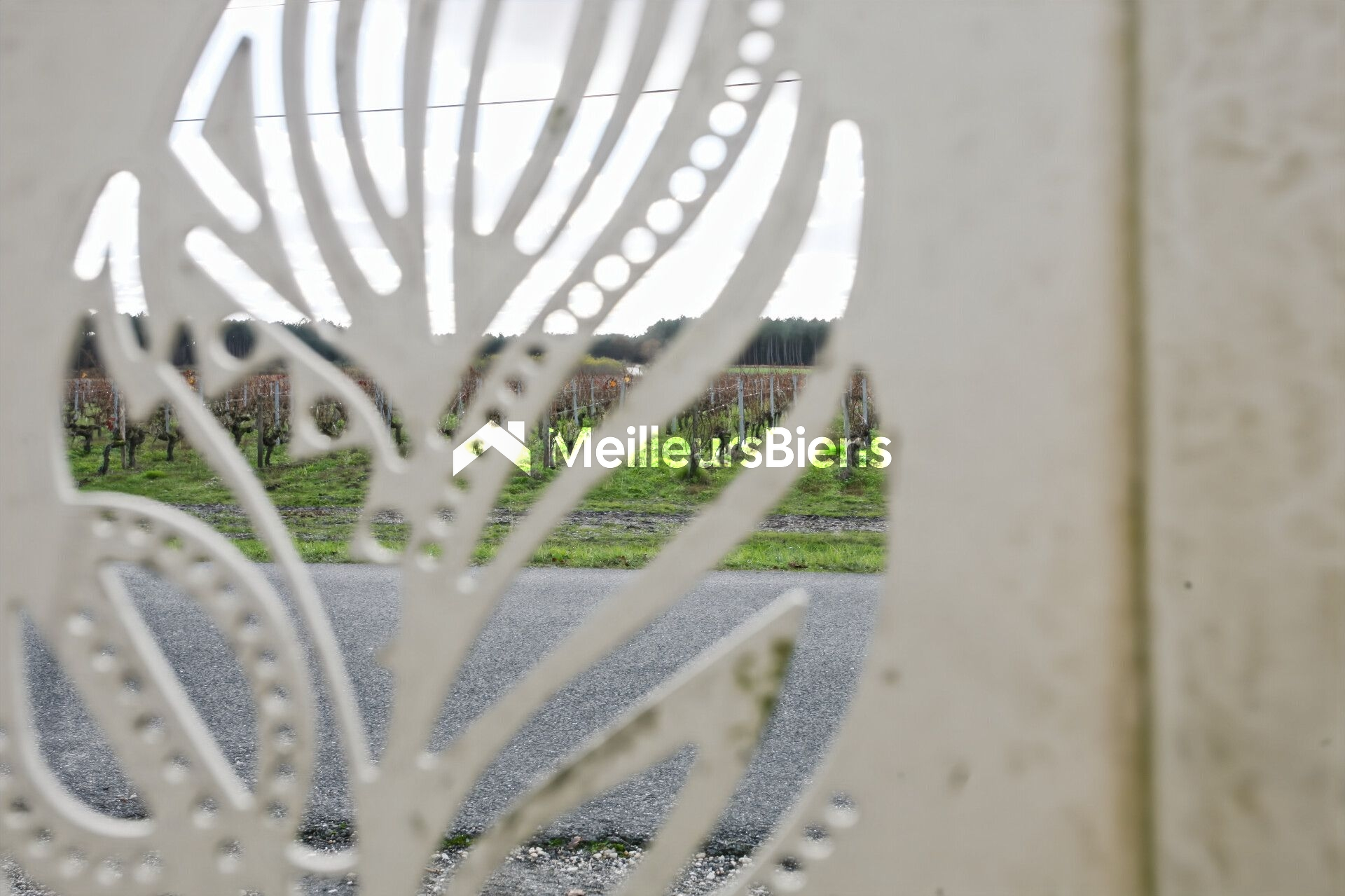 Maison familiale au cœur d'un Parc de 6300 m²